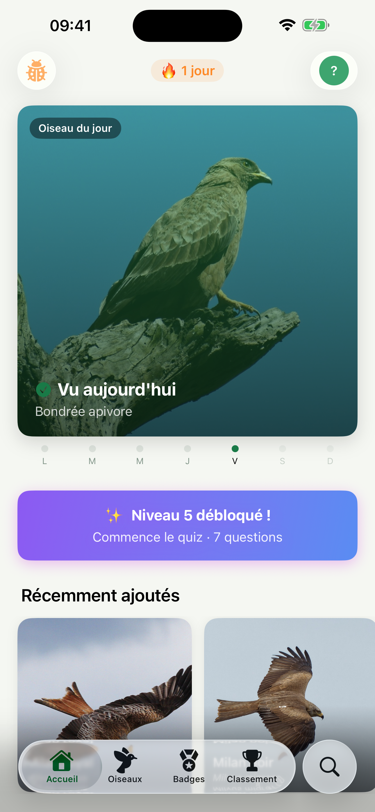 Accueil — oiseau du jour et streak